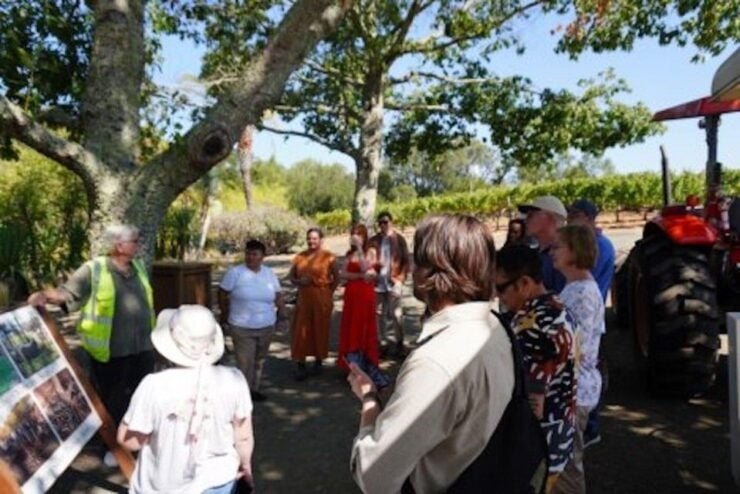 All Inclusive Sustainable Wine and Distillery Tour - Tour Details