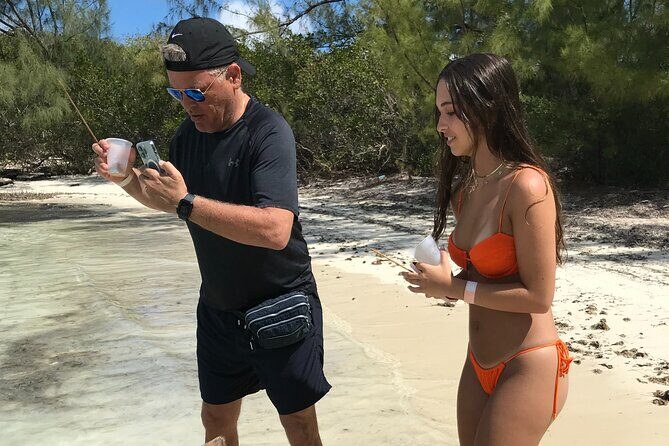 All Inclusive Swimming With The Pigs - Rose Island and the Pigs: The Main Event