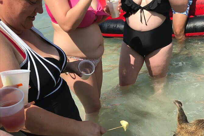 All Inclusive Swimming With The Pigs - Food, Drinks, and Overall Value