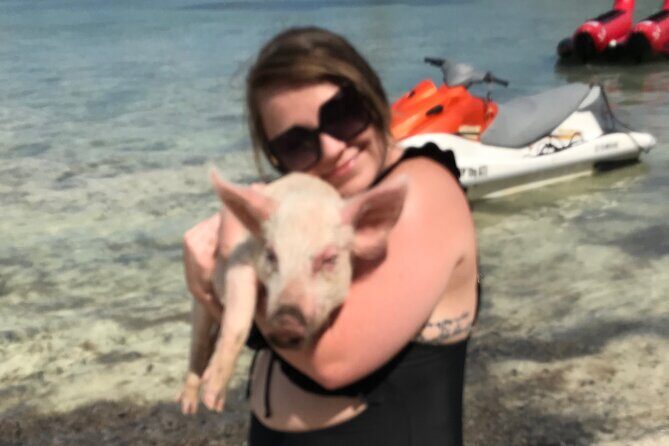 All Inclusive Swimming With The Pigs - The Realities: What You Need to Know