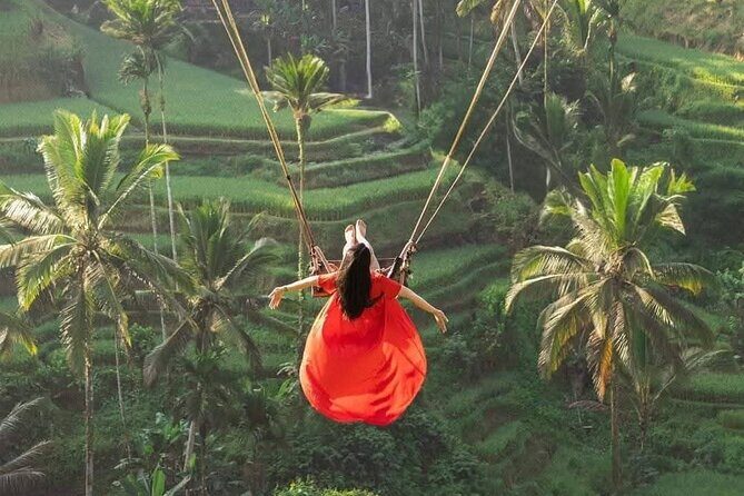 All Inclusive Swing, Zipline, Rice Terrace, Temple and Waterfall - Review of the All-Inclusive Swing, Zipline, Rice Terrace, Temple, and Waterfall Tour in Ubud