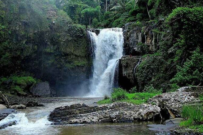 All Inclusive Swing, Zipline, Rice Terrace, Temple and Waterfall - Who Should Consider This Tour?