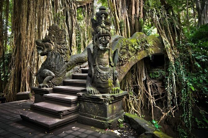 All Inclusive Swing, Zipline, Rice Terrace, Temple and Waterfall - The Experience from Real Reviews