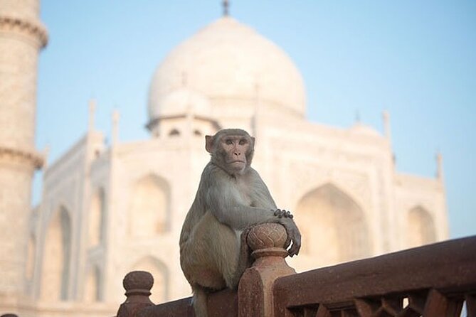 All Inclusive Taj Mahal Day Tour From Delhi By Car - Pickup Locations