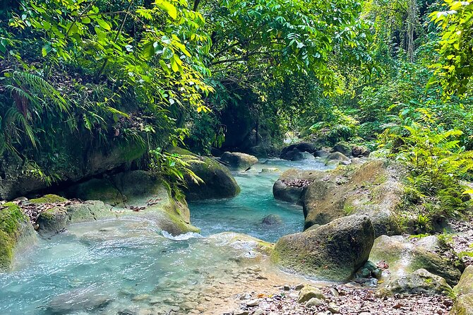 ALL INCLUSIVE Tour Through the Water Trail "La Plaza" - Tour Highlights