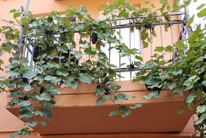 All-Inclusive.Tour to Georgia for 5 Days:Tbilisi, Kazbegi, Culinary Master-Klass - Essential Information for Travelers