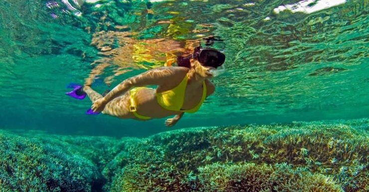 All Inclusive Trincomalee: Pigeon Island Tour + Snorkeling - Good To Know