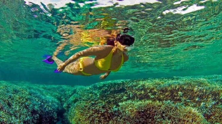 All Inclusive Trincomalee: Pigeon Island Tour + Snorkeling - Itinerary Highlights