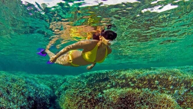 All Inclusive Trincomalee: Pigeon Island Tour + Snorkeling - Important Participant Information