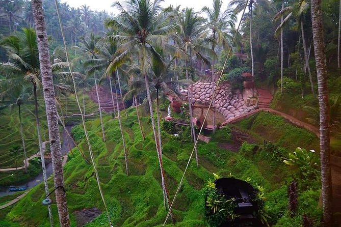 All Inclusive Ubud ATV Riding,Rice Terrace View & Ubud Swing - Additional Information