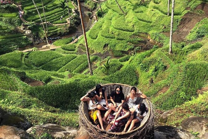 All Inclusive Ubud ATV Riding,Rice Terrace View & Ubud Swing - Frequently Asked Questions