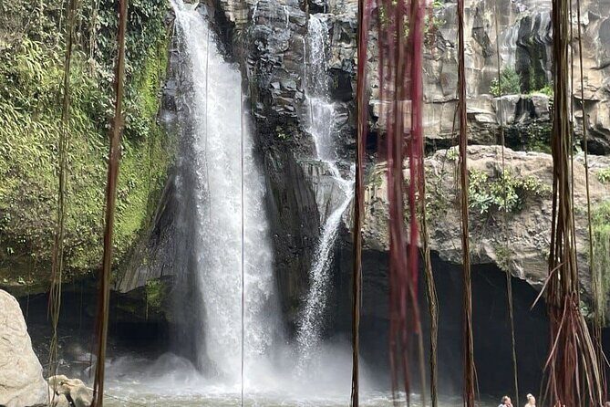 All Inclusive Ubud Cultural and Natural Highlights Tour - A Deep Dive Into the Experience