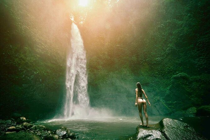 All-Inclusive Ubud Customized Private Tour - The Transport and Service Experience