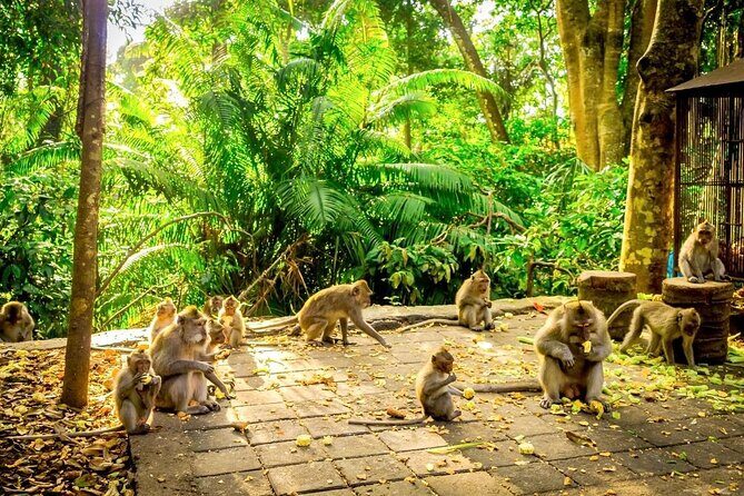 All-Inclusive Ubud Customized Private Tour - Final Thoughts