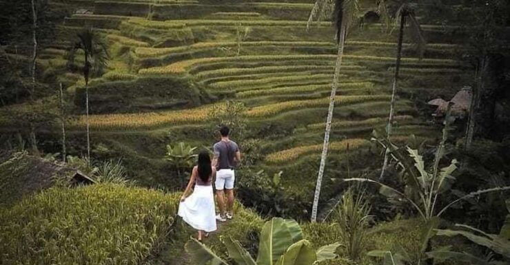 All Inclusive: Ubud Highlights Private Guided Tours - Tour Details and Inclusions