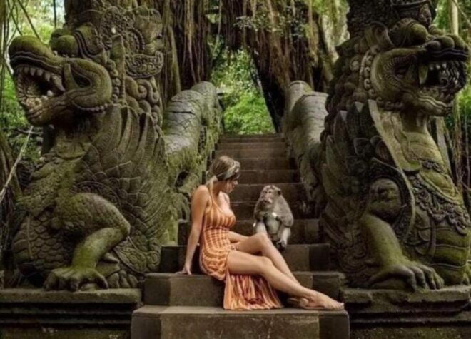 All Inclusive: Ubud Highlights Private Guided Tours - Cultural Exploration With Guide