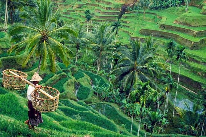 All Inclusive Ubud Private Tour - Overview and Highlights