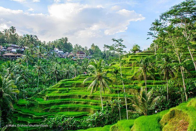 All-Inclusive Ubud Private Tour with Hotel Transfer - Good To Know