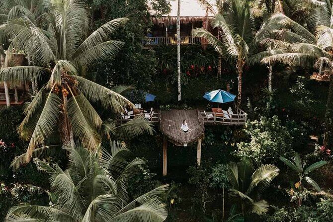 All-Inclusive Ubud Private Tour with Hotel Transfer - Final Thoughts