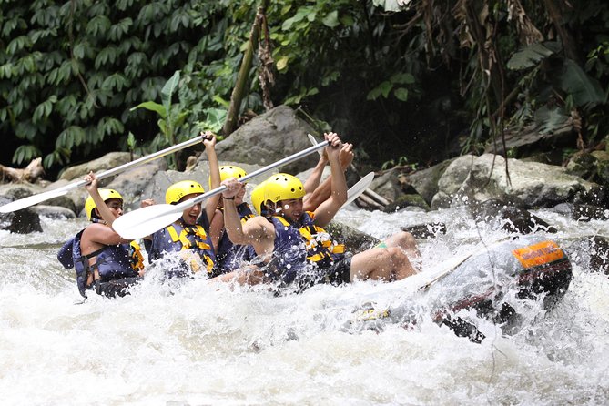 All Inclusive: Ubud River Rafting With Lunch and Transfers - Overview of the River Rafting Experience
