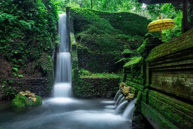 All inclusive - Ubud Tour, Waterfall, Temple And Jungle Swing - The Sum Up