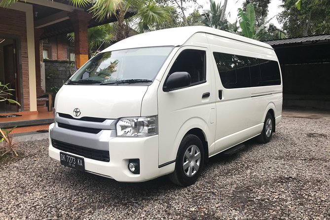 All Inclusive Ubud Tour With 15 Sitter Van - Customer Reviews