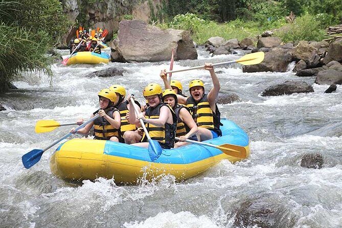 All Inclusive Ubud Tour with Ayung Ubud Rafting - Good To Know