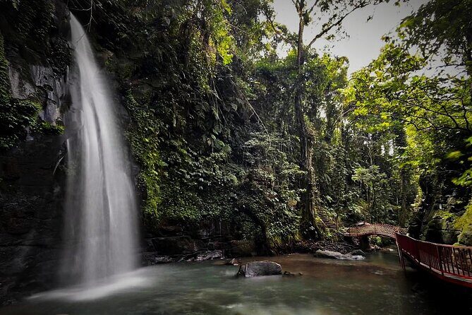 All-Inclusive Ubud's Wonder Day Tour - The Sum Up  