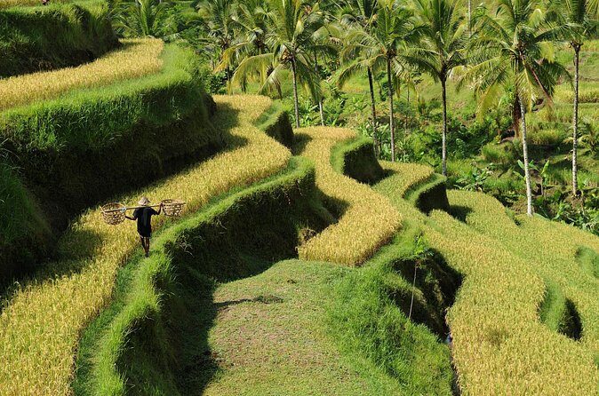 All-Inclusive Ubud's Wonder Day Tour - FAQs