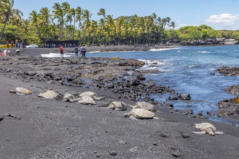 All-Inclusive: Volcanoes, Lava Tube & Black Sand Beach Tour - Why Choose This Tour?