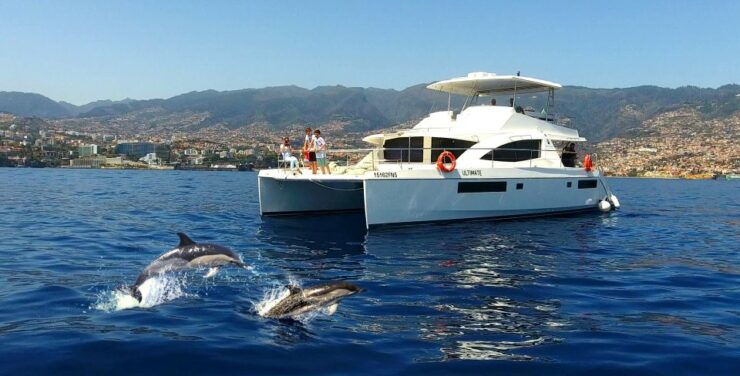 All Inclusive Whale and Dolphin Watching Luxury Tour - Free Cancellation and Flexible Payment Options
