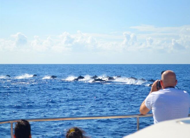 All Inclusive Whale and Dolphin Watching Luxury Tour - Duration and Starting Times
