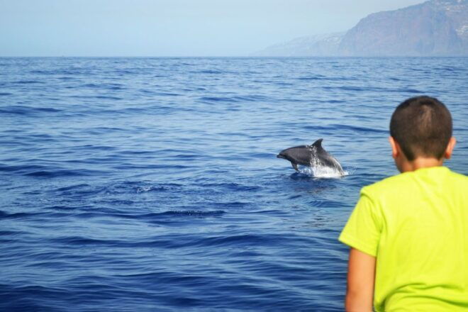 All Inclusive Whale and Dolphin Watching Luxury Tour - Pricing and Reservation Process