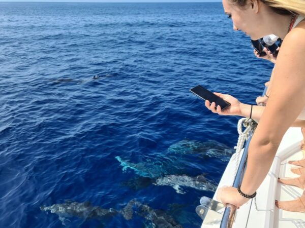 All Inclusive Whale and Dolphin Watching Luxury Tour - Relaxation and Luxury Features on the Catamaran