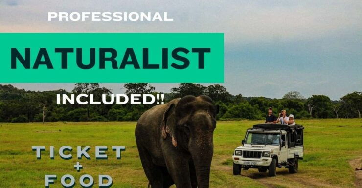 All Inclusive Wilpattu National Park: Safari Jeep Tour - Good To Know