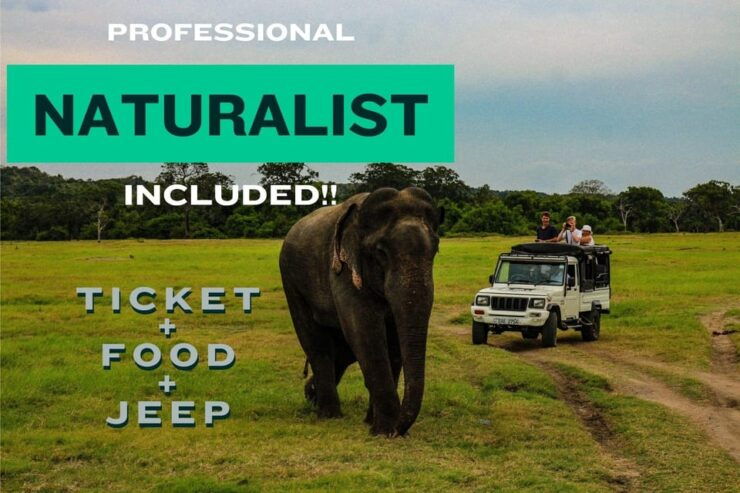All Inclusive Wilpattu National Park: Safari Jeep Tour - Experience and Itinerary
