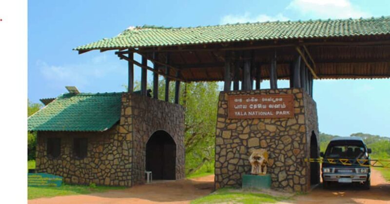 All-inclusive Yala Safari Tour and Kirinda Beach - The Experience in Detail