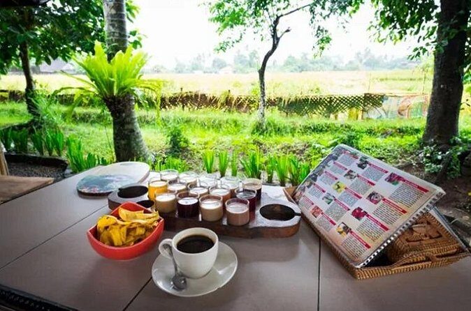 All Inclusives Bali Private Tour Temples Palaces and Nature - Final Thoughts