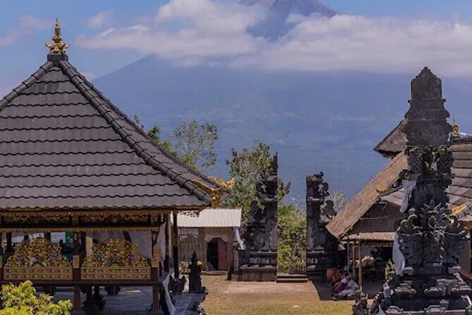 All Inclusives Bali Private Tour Temples Palaces and Nature - Who Should Consider This Tour?