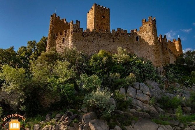 All Knight Templar - The Code of Chivalry