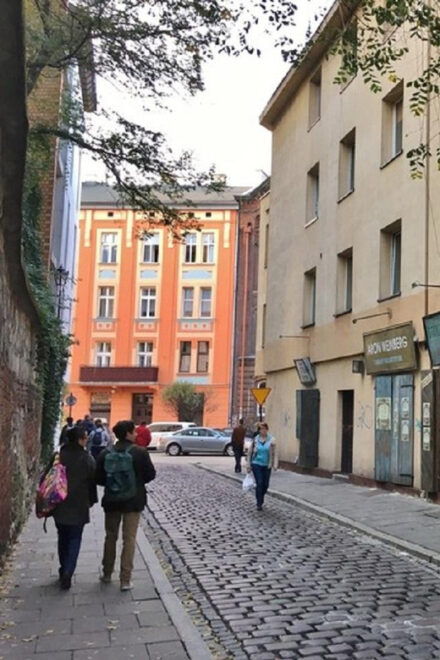 All Non-Commercial Mysteries of Our City in One Day! - Entrance Fees and Charges
