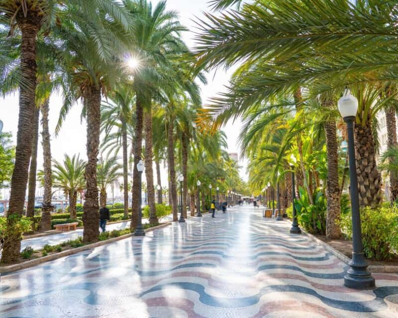 All of Alicante with the Castle, Market, and Tapas. Small group, max 6 people - Price and Value Analysis