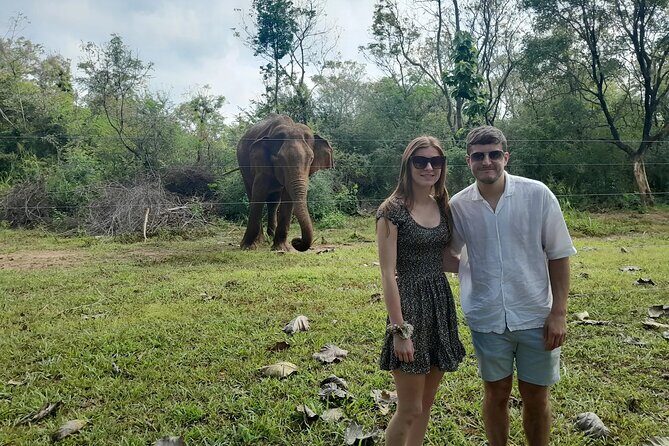 All of Sri Lanka within 10 Days - Starting in Colombo: Urban Vibes and Coastal Charm