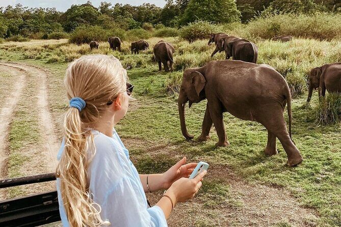 All of Sri Lanka within 10 Days - Tea, Plains, and Railway Wonders in Nuwara Eliya and Ella