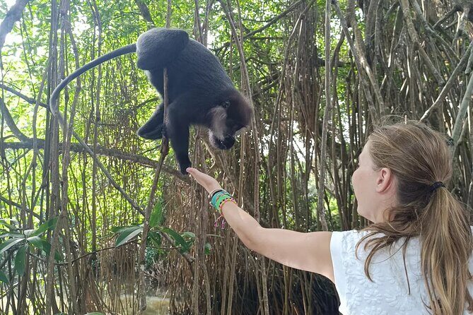 All of Sri Lanka within 10 Days - Final Day: Shopping and Return