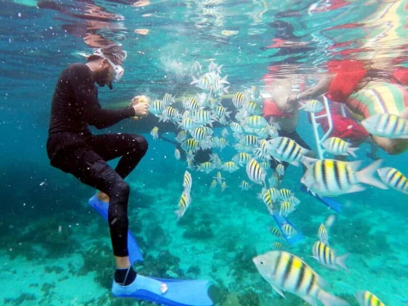 All Resorts: Ricks Cafe Sunset Catamaran Cruise - Who Will Love This Tour?