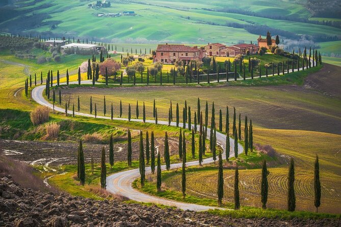 All Tuscany Private Siena San Gimignano & Chianti Livorno Shore Excursion - Cancellation Policy