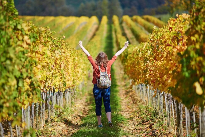 All Tuscany Private Siena San Gimignano & Chianti Livorno Shore Excursion - Price & Reviews