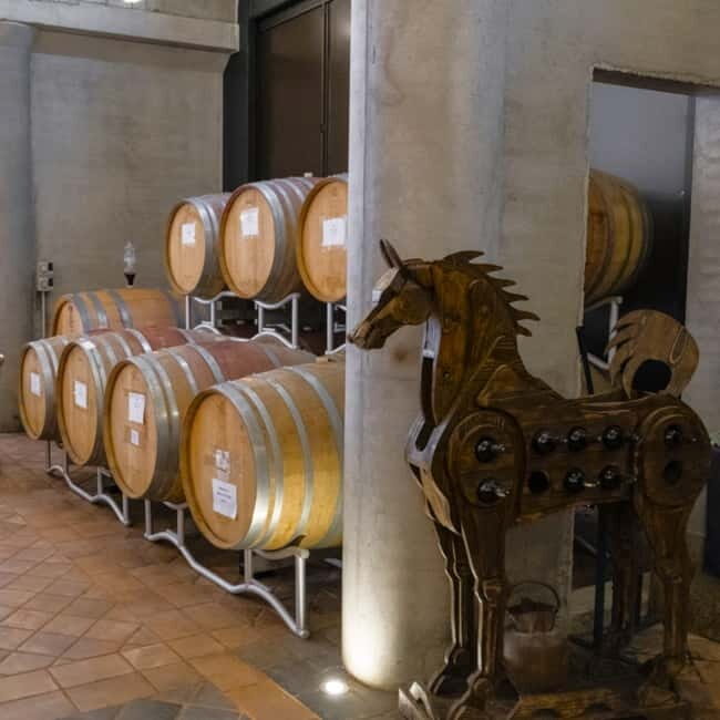 All Tuscany Wine Tour - Good To Know