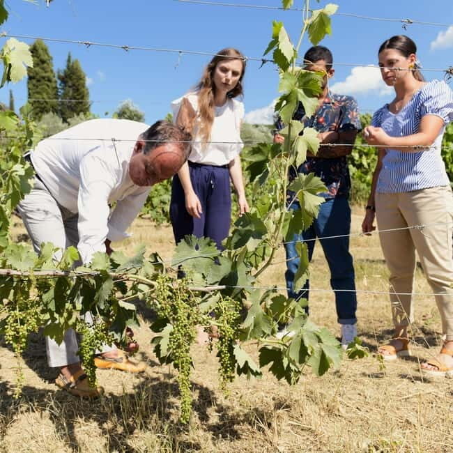 All Tuscany Wine Tour - Why This Tour Works